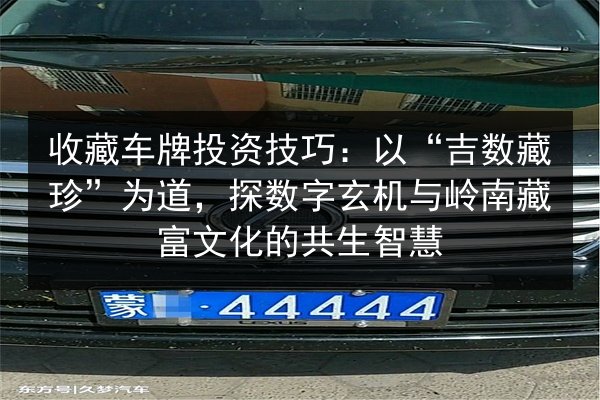 收藏车牌投资技巧：以“吉数藏珍”为道，探数字玄机与岭南藏富文化的共生智慧 第2张