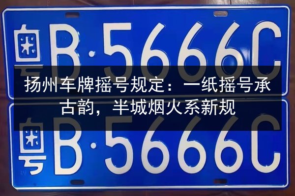 扬州车牌摇号规定：一纸摇号承古韵，半城烟火系新规 第3张