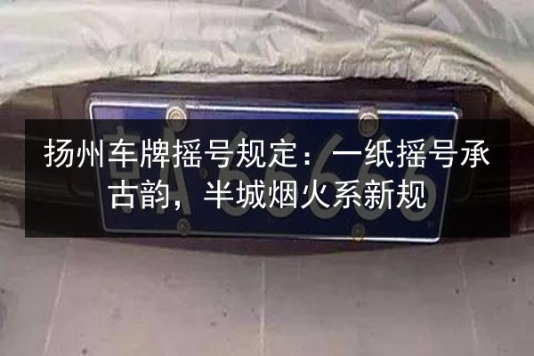 扬州车牌摇号规定：一纸摇号承古韵，半城烟火系新规 第4张