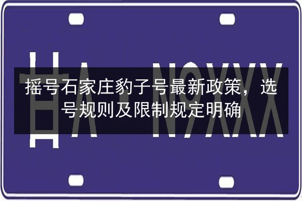 摇号石家庄豹子号最新政策，选号规则及限制规定明确 第2张