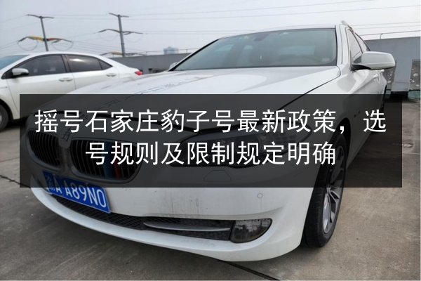摇号石家庄豹子号最新政策，选号规则及限制规定明确 第3张