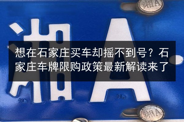 想在石家庄买车却摇不到号？石家庄车牌限购政策最新解读来了 第2张