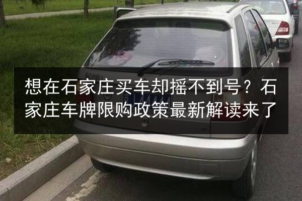想在石家庄买车却摇不到号？石家庄车牌限购政策最新解读来了 第3张