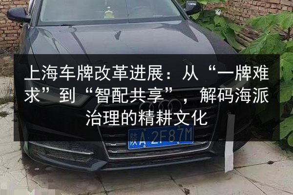 上海车牌改革进展：从“一牌难求”到“智配共享”，解码海派治理的精耕文化 第3张