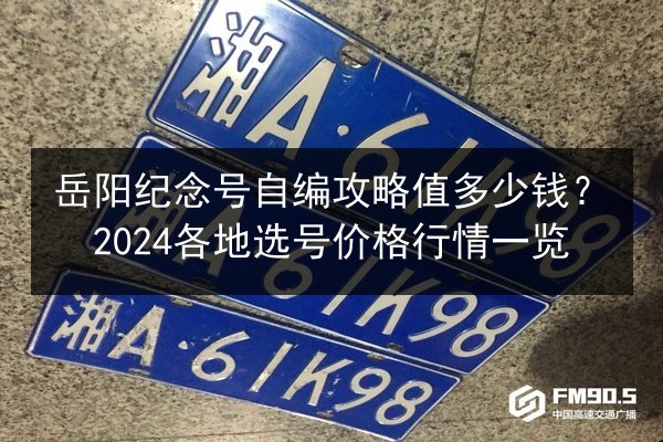 岳阳纪念号自编攻略值多少钱？2024各地选号价格行情一览 第2张