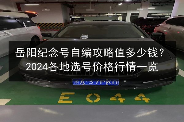 岳阳纪念号自编攻略值多少钱？2024各地选号价格行情一览 第3张
