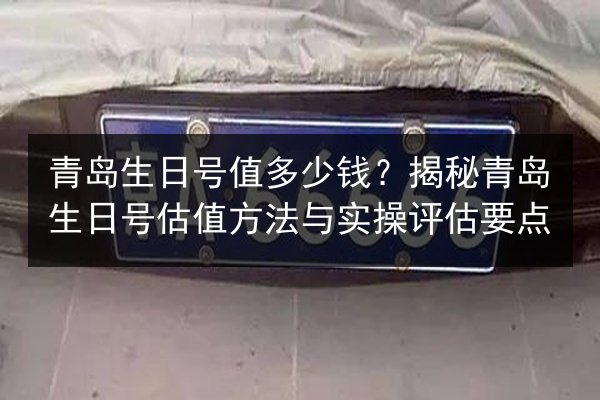 青岛生日号值多少钱？揭秘青岛生日号估值方法与实操评估要点 第2张