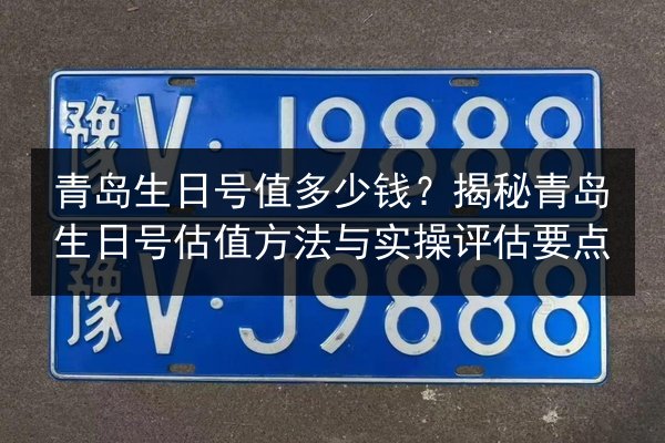 青岛生日号值多少钱？揭秘青岛生日号估值方法与实操评估要点 第3张