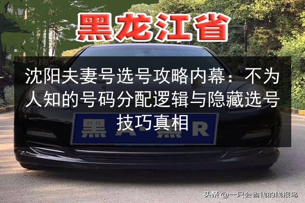 沈阳夫妻号选号攻略内幕:不为人知的号码分配逻辑与隐藏选号技巧真相 第2张 沈阳夫妻号选号攻略内幕:不为人知的号码分配逻辑与隐藏选号技巧真相 第2张