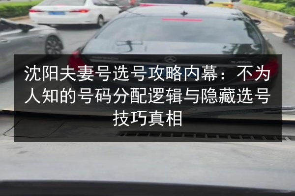 沈阳夫妻号选号攻略内幕:不为人知的号码分配逻辑与隐藏选号技巧真相 第3张 沈阳夫妻号选号攻略内幕:不为人知的号码分配逻辑与隐藏选号技巧真相 第3张