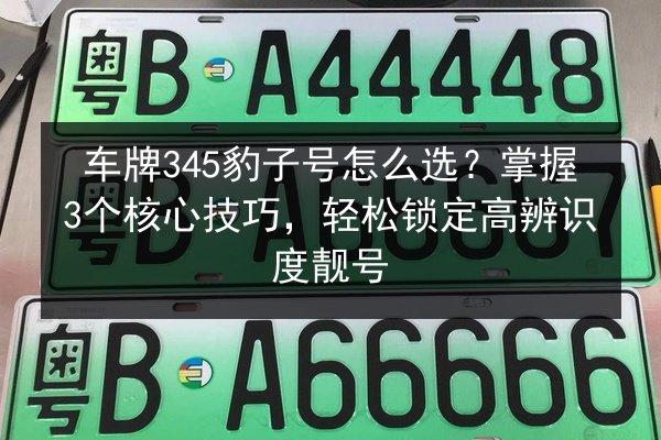车牌345豹子号怎么选？掌握3个核心技巧，轻松锁定高辨识度靓号 第3张