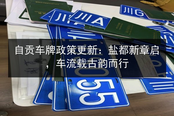 自贡车牌政策更新：盐都新章启，车流载古韵而行 第3张