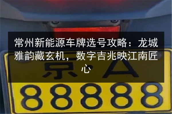 常州新能源车牌选号攻略：龙城雅韵藏玄机，数字吉兆映江南匠心 第2张
