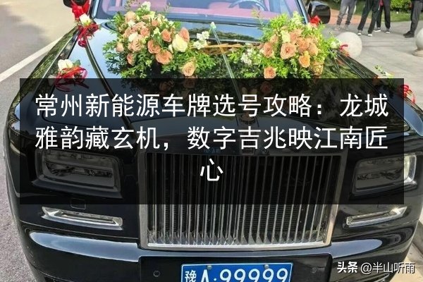 常州新能源车牌选号攻略：龙城雅韵藏玄机，数字吉兆映江南匠心 第3张