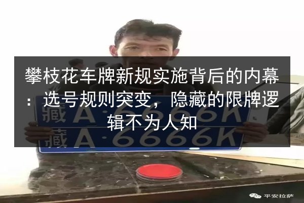 攀枝花车牌新规实施背后的内幕：选号规则突变，隐藏的限牌逻辑不为人知 第2张