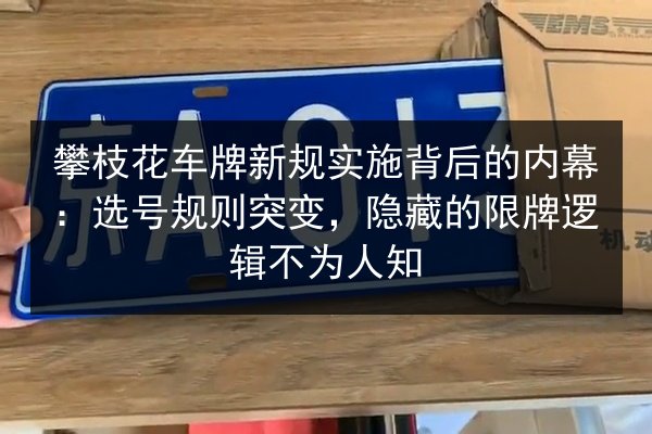 攀枝花车牌新规实施背后的内幕：选号规则突变，隐藏的限牌逻辑不为人知 第3张