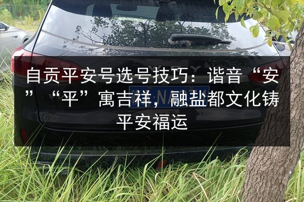 自贡平安号选号技巧：谐音“安”“平”寓吉祥，融盐都文化铸平安福运 第2张