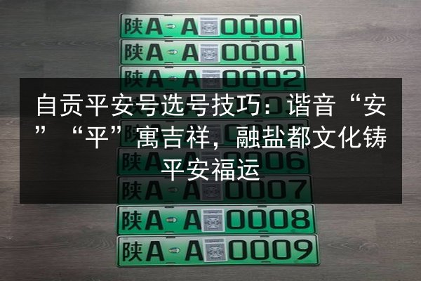 自贡平安号选号技巧：谐音“安”“平”寓吉祥，融盐都文化铸平安福运 第3张