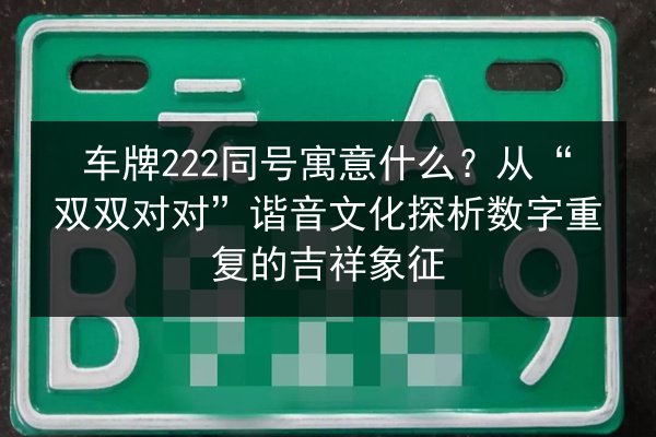 车牌222同号寓意什么？从“双双对对”谐音文化探析数字重复的吉祥象征 第2张