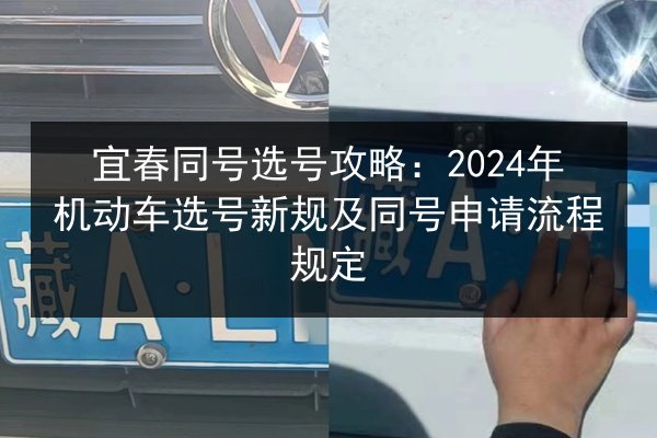 宜春同号选号攻略:2024年机动车选号新规及同号申请流程规定 第2张 宜春同号选号攻略:2024年机动车选号新规及同号申请流程规定 第2张