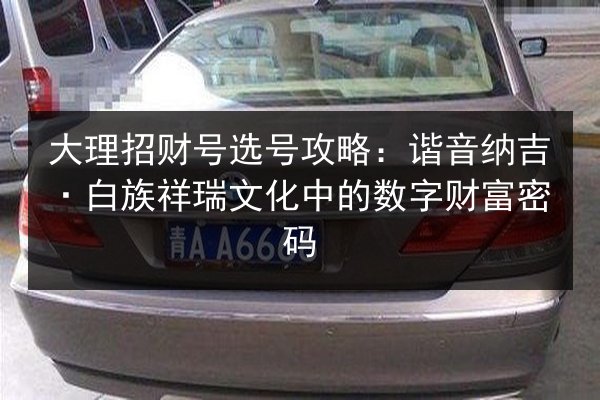 大理招财号选号攻略：谐音纳吉·白族祥瑞文化中的数字财富密码 第3张
