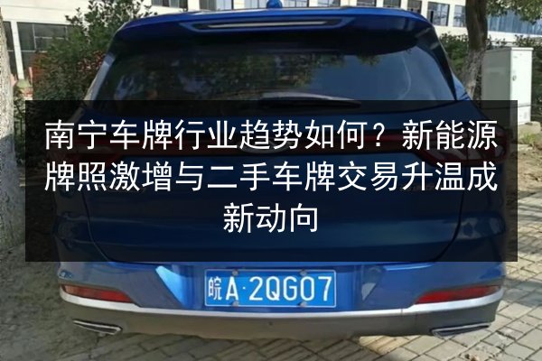 南宁车牌行业趋势如何?新能源牌照激增与二手车牌交易升温成新动向 第2张 南宁车牌行业趋势如何?新能源牌照激增与二手车牌交易升温成新动向 第2张