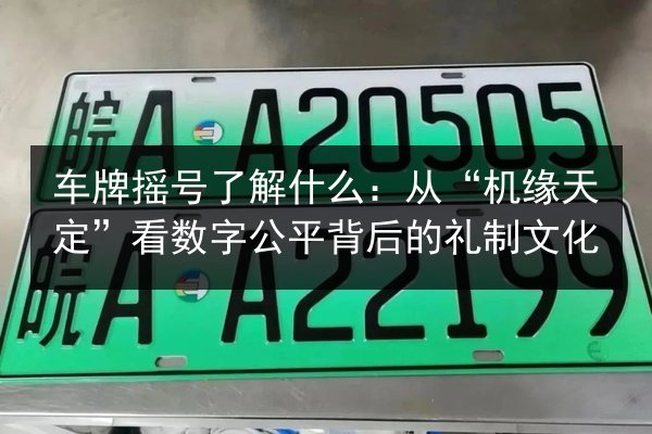 车牌摇号了解什么:从“机缘天定”看数字公平背后的礼制文化 第3张 车牌摇号了解什么:从“机缘天定”看数字公平背后的礼制文化 第3张