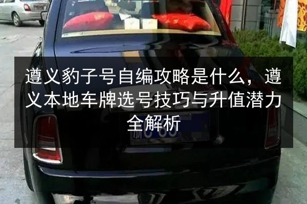 遵义豹子号自编攻略是什么，遵义本地车牌选号技巧与升值潜力全解析