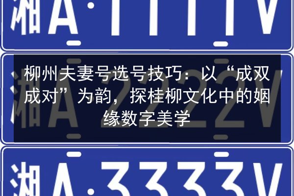 柳州夫妻号选号技巧：以“成双成对”为韵，探桂柳文化中的姻缘数字美学 第2张