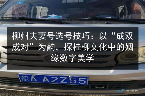 柳州夫妻号选号技巧：以“成双成对”为韵，探桂柳文化中的姻缘数字美学 第3张
