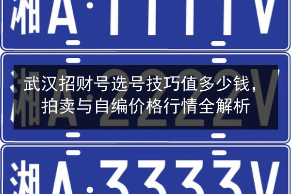 武汉招财号选号技巧值多少钱，拍卖与自编价格行情全解析 第3张
