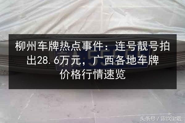 柳州车牌热点事件:连号靓号拍出28.6万元,广西各地车牌价格行情速览 第2张 柳州车牌热点事件:连号靓号拍出28.6万元,广西各地车牌价格行情速览 第2张