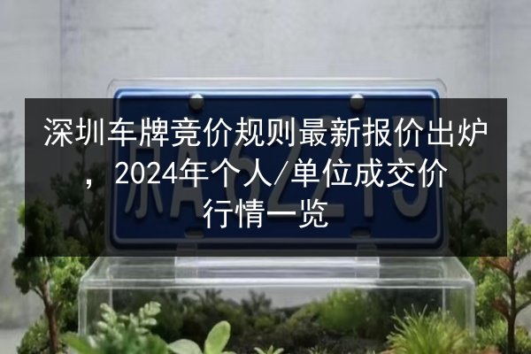 深圳车牌竞价规则最新报价出炉，2024年个人_单位成交价行情一览 第3张