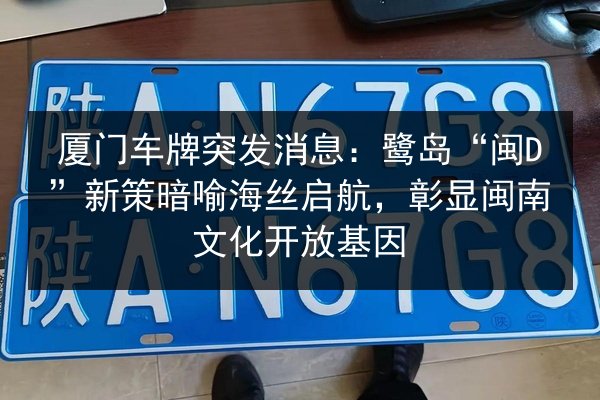厦门车牌突发消息：鹭岛“闽D”新策暗喻海丝启航，彰显闽南文化开放基因