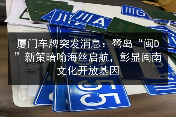 厦门车牌突发消息：鹭岛“闽D”新策暗喻海丝启航，彰显闽南文化开放基因 第2张