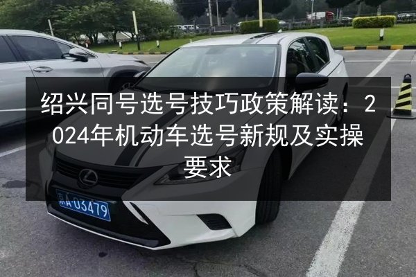 绍兴同号选号技巧政策解读：2024年机动车选号新规及实操要求 第3张