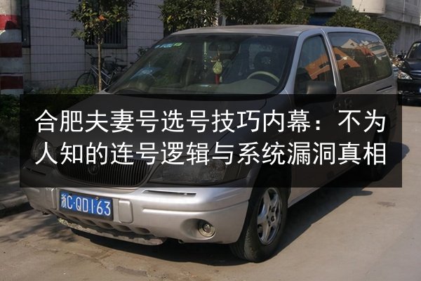 合肥夫妻号选号技巧内幕：不为人知的连号逻辑与系统漏洞真相