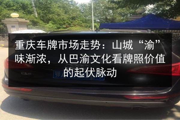 重庆车牌市场走势:山城“渝”味渐浓,从巴渝文化看牌照价值的起伏脉动 第3张 重庆车牌市场走势:山城“渝”味渐浓,从巴渝文化看牌照价值的起伏脉动 第3张