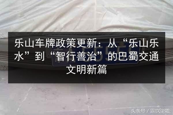 乐山车牌政策更新：从“乐山乐水”到“智行善治”的巴蜀交通文明新篇 第2张
