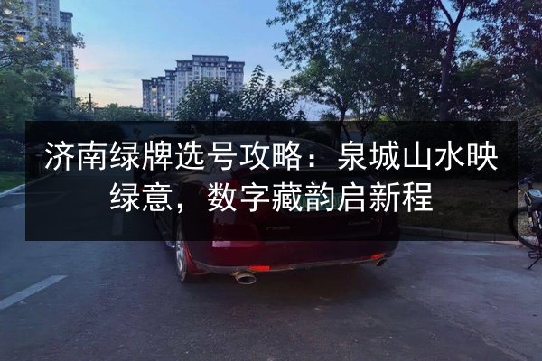 济南绿牌选号攻略：泉城山水映绿意，数字藏韵启新程 第2张