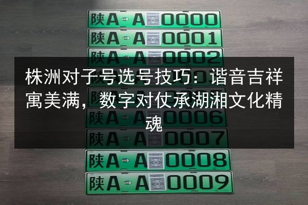 株洲对子号选号技巧：谐音吉祥寓美满，数字对仗承湖湘文化精魂 第2张