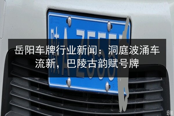岳阳车牌行业新闻：洞庭波涌车流新，巴陵古韵赋号牌 第3张