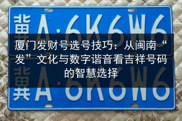 厦门发财号选号技巧：从闽南“发”文化与数字谐音看吉祥号码的智慧选择 第3张