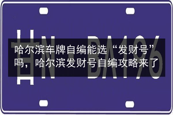哈尔滨车牌自编能选“发财号”吗，哈尔滨发财号自编攻略来了