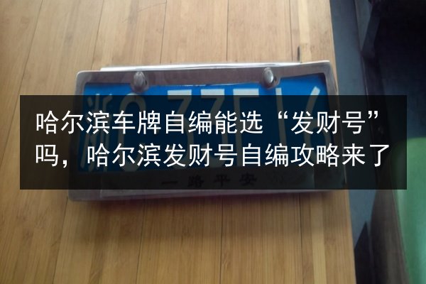 哈尔滨车牌自编能选“发财号”吗，哈尔滨发财号自编攻略来了 第2张
