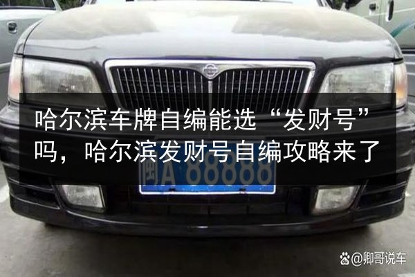 哈尔滨车牌自编能选“发财号”吗，哈尔滨发财号自编攻略来了 第3张