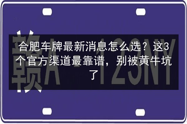 合肥车牌最新消息怎么选？这3个官方渠道最靠谱，别被黄牛坑了 第2张