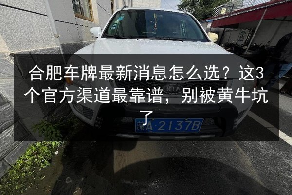 合肥车牌最新消息怎么选？这3个官方渠道最靠谱，别被黄牛坑了 第3张