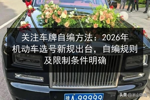 关注车牌自编方法:2026年机动车选号新规出台,自编规则及限制条件明确 第1张 关注车牌自编方法:2026年机动车选号新规出台,自编规则及限制条件明确 第1张