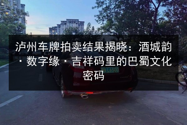 泸州车牌拍卖结果揭晓：酒城韵·数字缘·吉祥码里的巴蜀文化密码 第2张